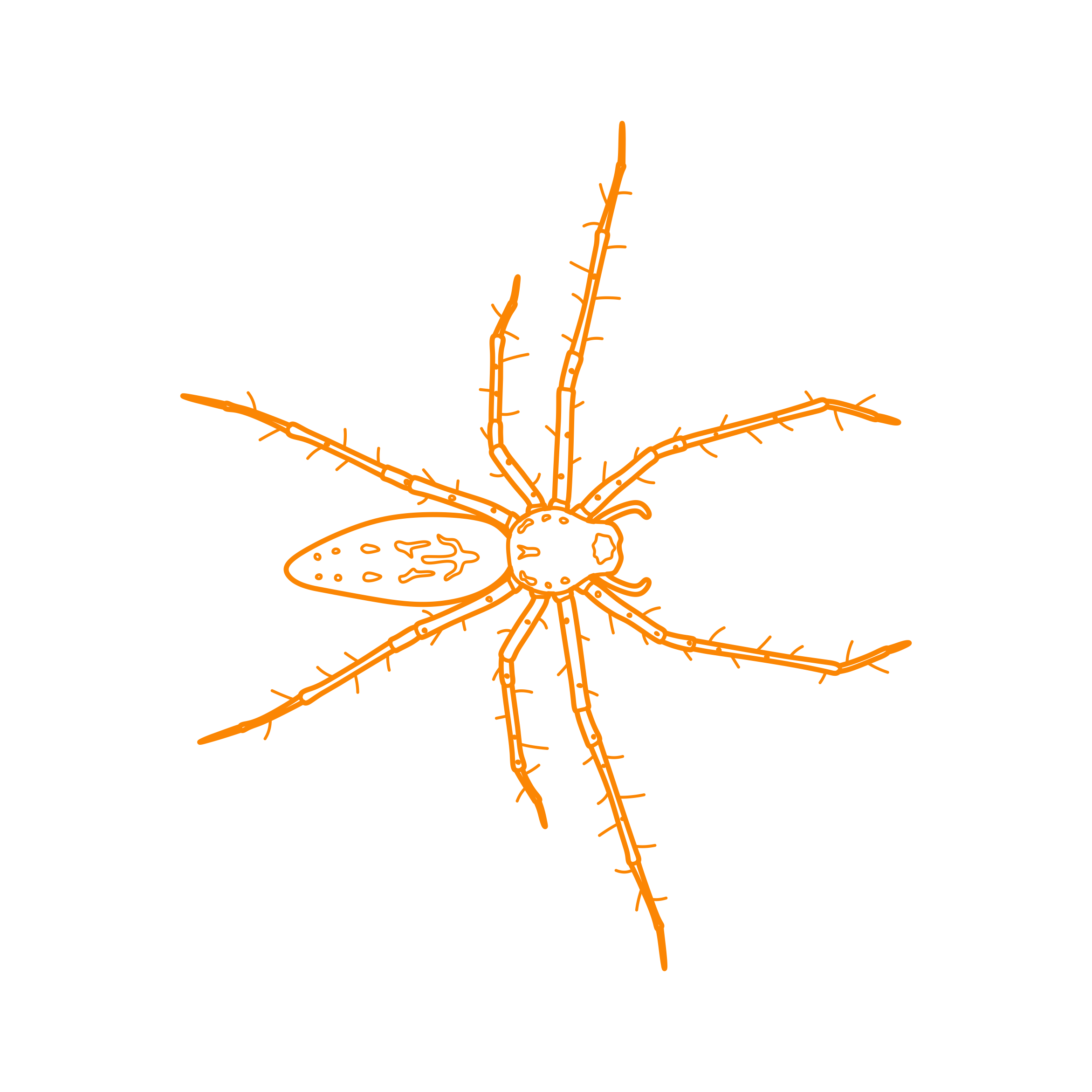 Animals Arachnids Green Lynx Spider Stencil Svg Vector Free Vectors